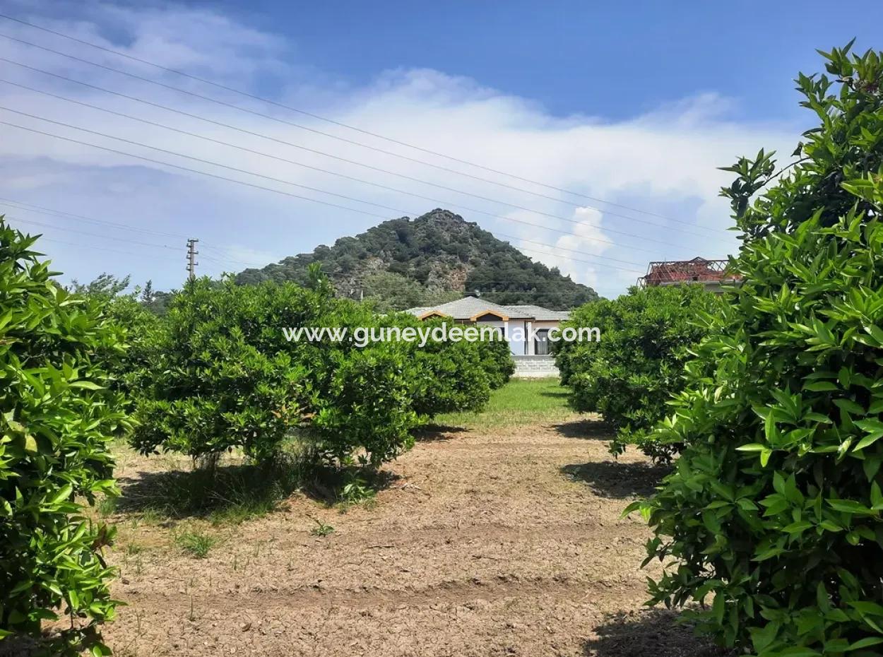 722 M2 Freistehendes Grundstück Zum Kauf In Dalyan, Muğla