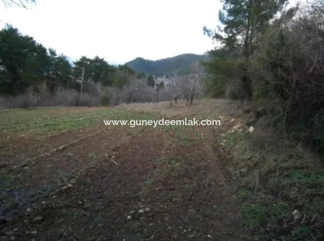 1985 M2 Grundstück Und Altes Dorfhaus Zum Verkauf In Fethiye Nif