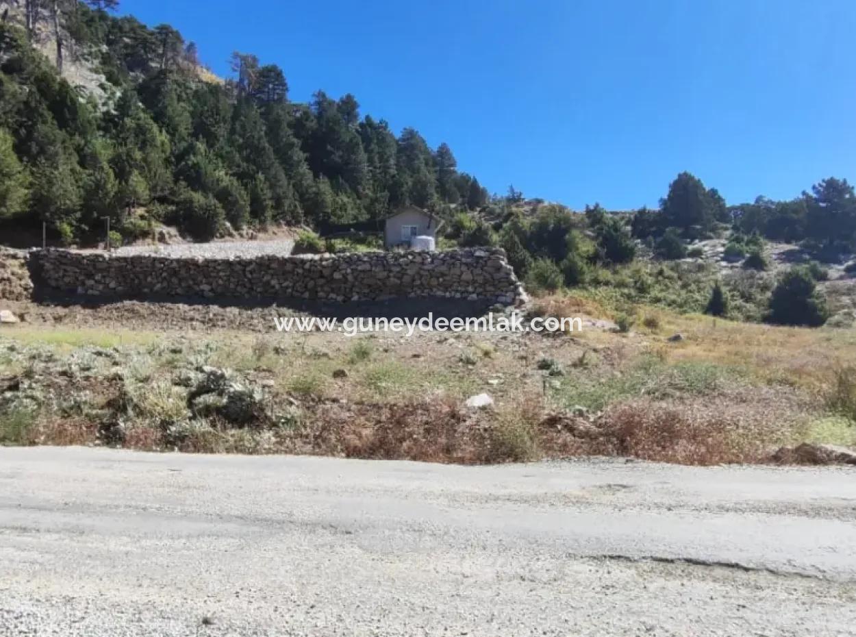 1.522M2 Feld Zum Verkauf Im Çövenli-Plateau Der Region Muğla Köyceğiz Sazak