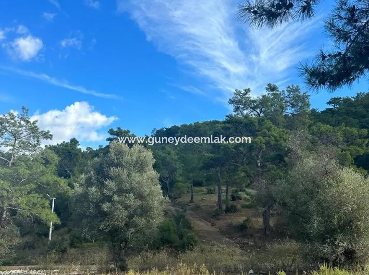 1084 M2 Eckgrundstück Zum Verkauf In Dalyan Gökbelde