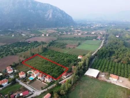 Muğla Okçular Marmarlıda 4.000M2 Bebauungsplan, Grundstück Für Investitionen Geeignet Zum Verkauf