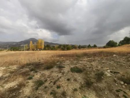 6 230 M2 Fruchtbares Land Zur Miete In Çameli Cumaalanı