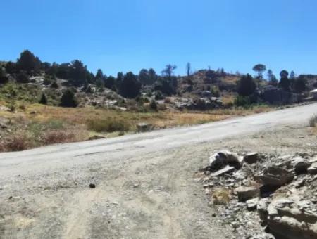 1.522M2 Feld Zum Verkauf Im Çövenli-Plateau Der Region Muğla Köyceğiz Sazak