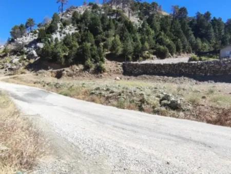 1.522M2 Feld Zum Verkauf Im Çövenli-Plateau Der Region Muğla Köyceğiz Sazak