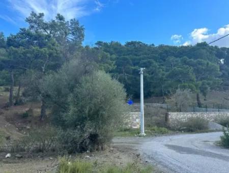 1084 M2 Eckgrundstück Zum Verkauf In Dalyan Gökbelde