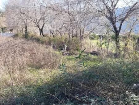 1500 M2 Zoniertes Grundstück Zur Miete In Muğla Dalyan