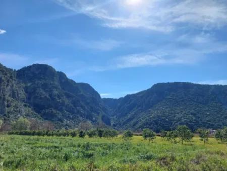 Muğla Ortaca Marmarlıda Berg- Und Naturblick 1 550 M2 Freistehendes Grundstück Zum Verkauf