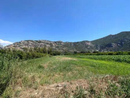 970 M2 Rızai Taksimli Aktie Zum Verkauf In Dalyan