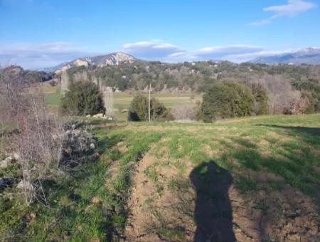 Denizli Çameli Kirazlıyayla Nature View 2 223 M2 Freistehendes Grundstück Zum Verkauf