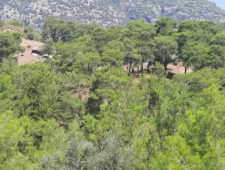 Dalyan Gökbelde See- Und Meerblick Freistehende Eigentumsurkunde Zum Verkauf 82 M2 Land Zum Verkauf