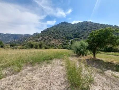 Fruchtbares 1.680 M2 Land Am Berghang Zum Verkauf In Dalyan, Muğla