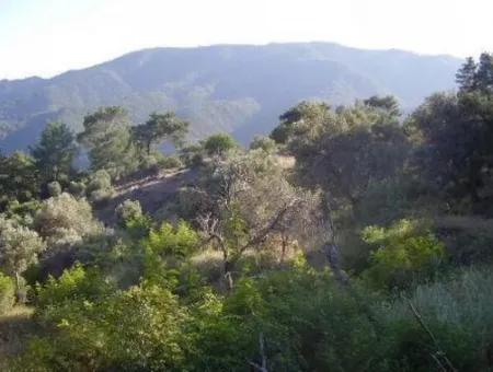 12.926 N2 Meerblick Grundstück Zum Verkauf In Köyceğiz Ekincik