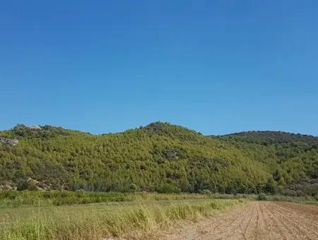 Fruchtbares Land Zum Verkauf In Famagusta Schnäppchen