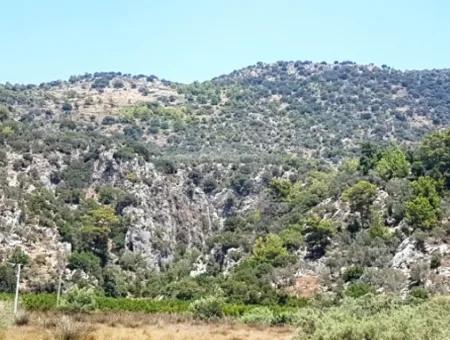 Grundstück Mit Meerblick Zum Verkauf In Mugla Dalaman Kapıkargın