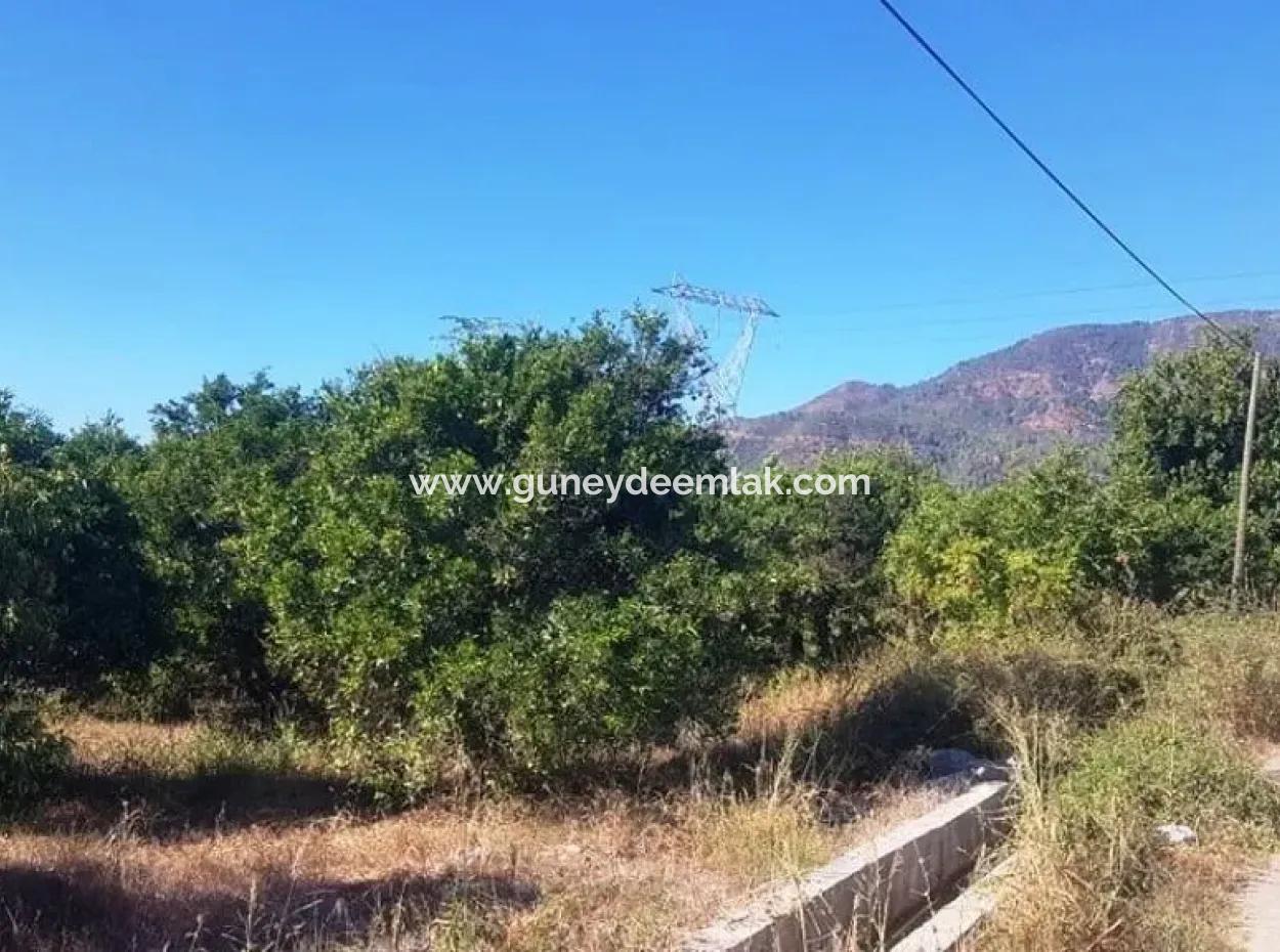 2 750 M2 Detached Land For Sale In Köycez Toparlar