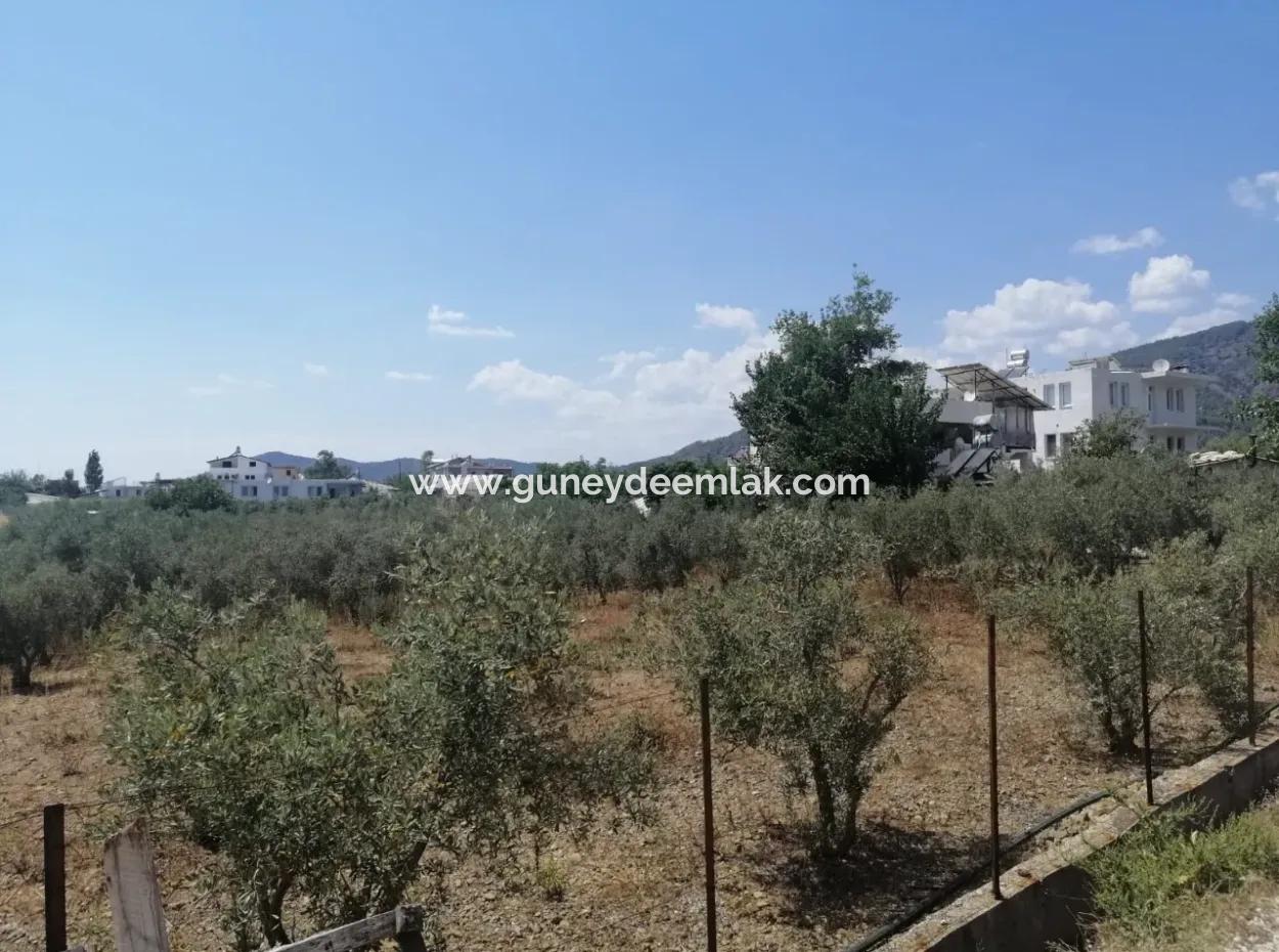 2720 M2 Field For Sale In Fethiye Eldirek, Muğla.