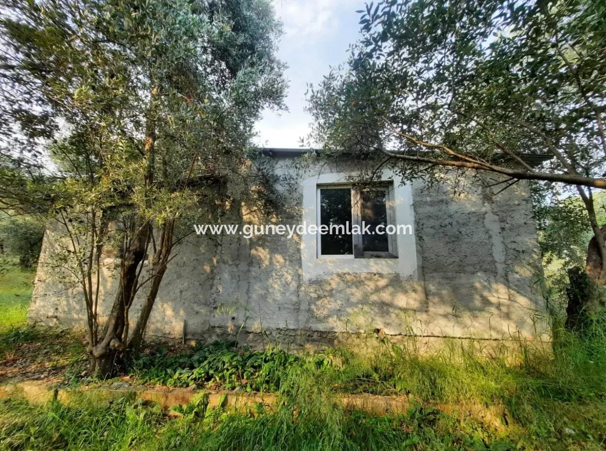 2 821 M2 Detached Land With Lake View In Köyceğiz Zeytinalanı Neighborhood Is For Sale