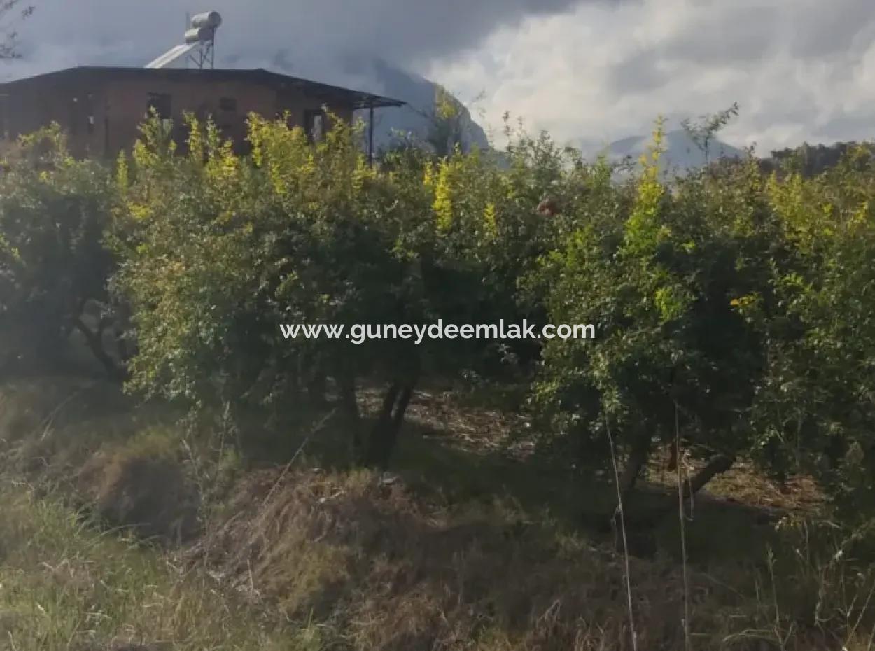 7833 M2 Detached Field For Sale In Muğla Ortaca Eskiköy