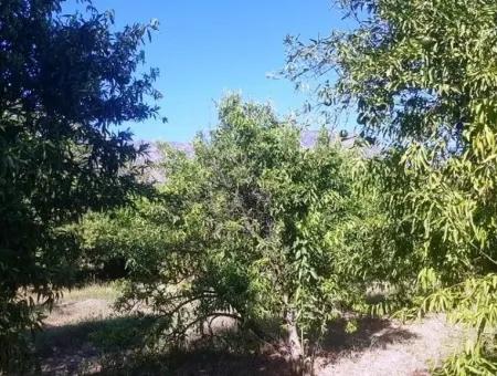 2 750 M2 Detached Land For Sale In Köycez Toparlar