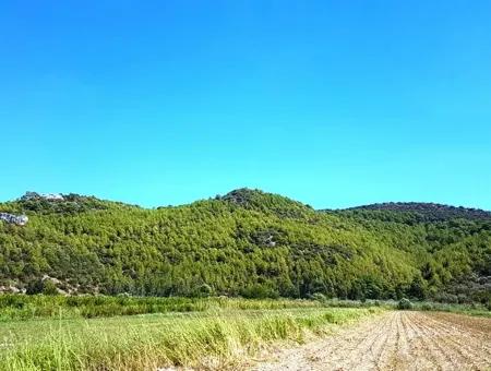 Fertile Bargain Land For Sale In Muğla Ortaca Güzelyurt