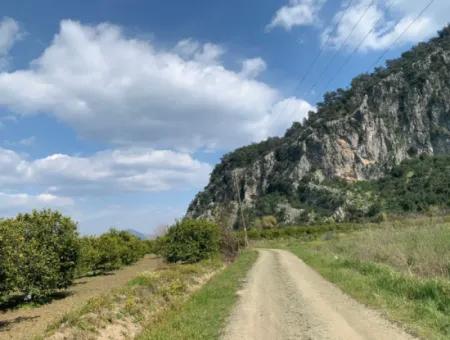 Mugla Dalyan Marmarlı 1500 M2 Land For Sale