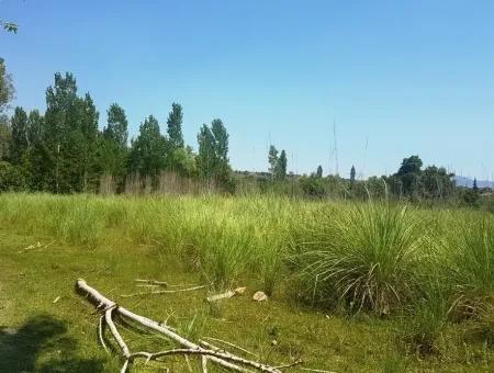 3700 M2 Land For Sale In Koycegiz