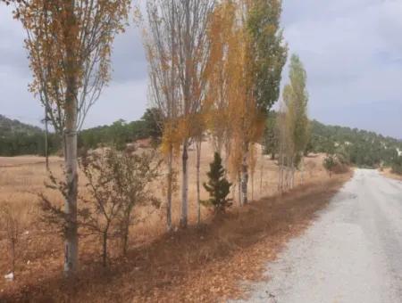 6 230 M2 Detached Land For Sale Or Exchange On The Old Acıpayam Road In Çameli Cumanda