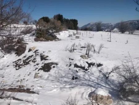 407 M2 Detached Title Deed Land In Denizli Çameli New Deposit