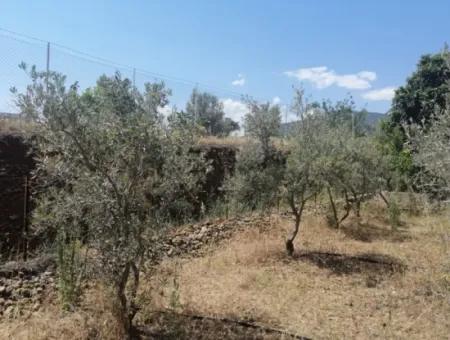 2720 M2 Field For Sale In Fethiye Eldirek, Muğla.