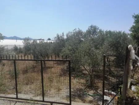 2720 M2 Field For Sale In Fethiye Eldirek, Muğla.