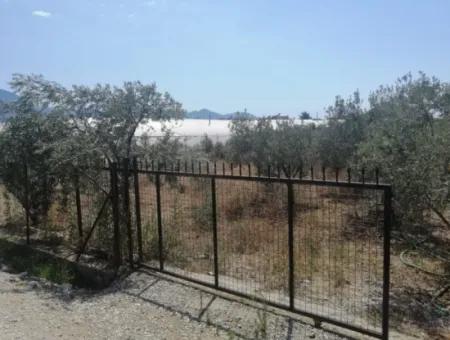 2720 M2 Field For Sale In Fethiye Eldirek, Muğla.