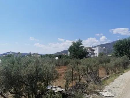 2720 M2 Field For Sale In Fethiye Eldirek, Muğla.