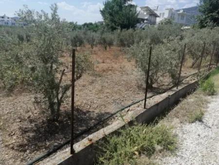 2720 M2 Field For Sale In Fethiye Eldirek, Muğla.