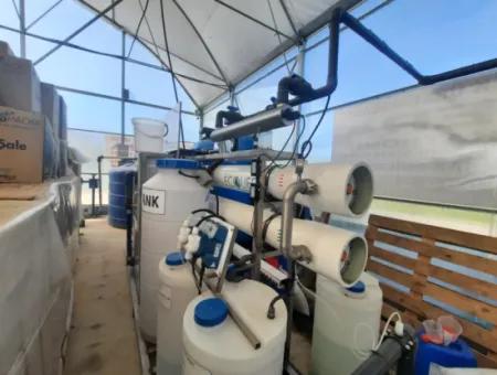 6 500 M2 Fully Automatic High Strawberry Greenhouse For Sale In Fethiye