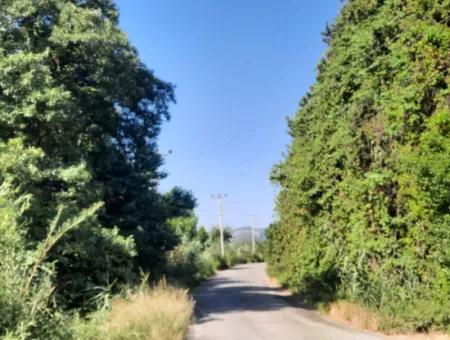 10 000 M2 Land For Sale With House In 2-Storey Rough Construction Between Ortaca Hill And Muğla Ortaca.