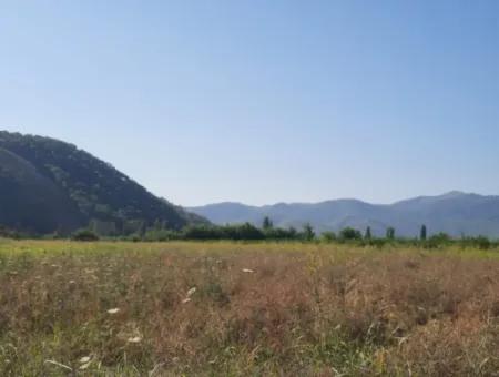 10 000 M2 Land For Sale With House In 2-Storey Rough Construction Between Ortaca Hill And Muğla Ortaca.