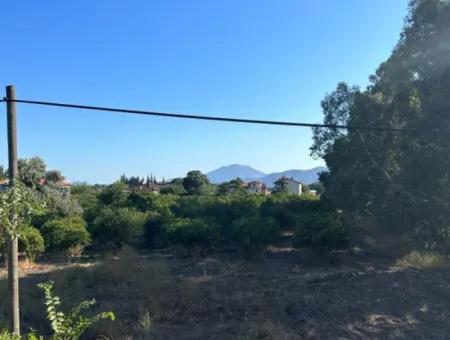 Muğla Köyceğiz Toparlar For Sale On The Main Road 2 800 M2 Commercial Zoned Land