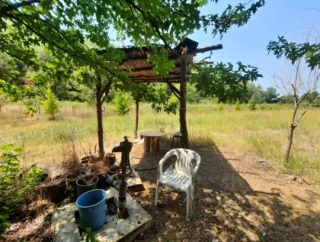 Field For Sale In Muğla Kemaliye 750 M2 And Tiny House