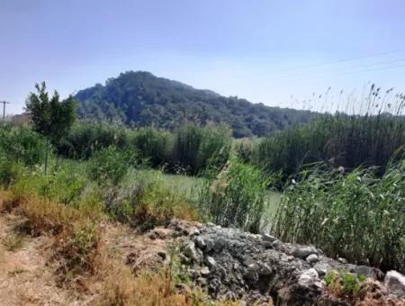 14300 M2 Land Suitable For Investment For Sale In Muğla Ortaca Sarıgerme