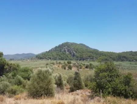 5-Year Rental Waterfront Land In Ortaca Sarıgerme