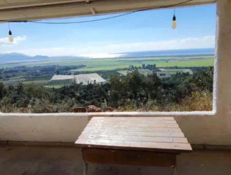 11.000M2 Olive Grove For Sale In Fevziye With Magnificent Nature And Sea View