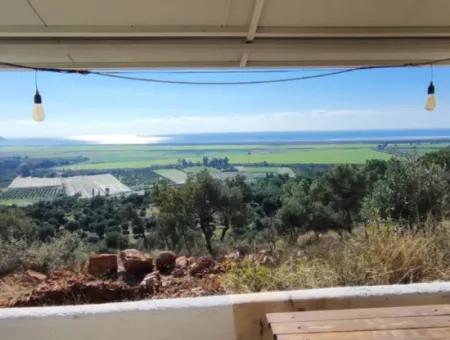 11.000M2 Olive Grove For Sale In Fevziye With Magnificent Nature And Sea View