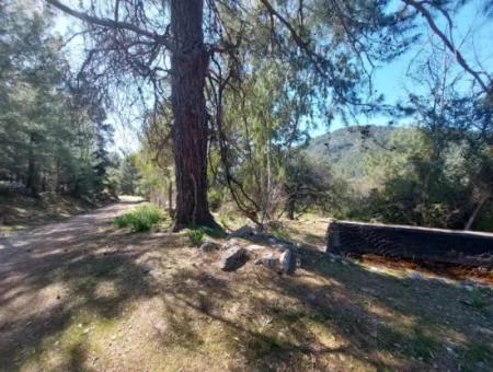 2 400 M2 Field For Sale In Muğla Ortaca Gökbelde Nature