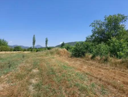 750 M2 Share Of 5 200 M2 Land In Ortaca Kemaliye Is For Sale