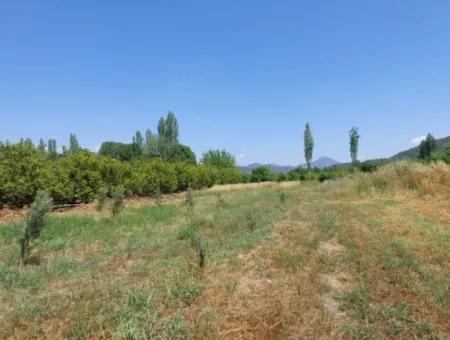 750 M2 Share Of 5 200 M2 Land In Ortaca Kemaliye Is For Sale