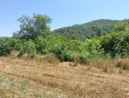 750 M2 Share Of 5 200 M2 Land In Ortaca Kemaliye Is For Sale