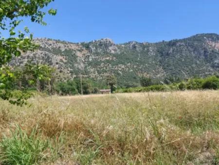 750 M2 Share Of 5 200 M2 Land In Ortaca Kemaliye Is For Sale