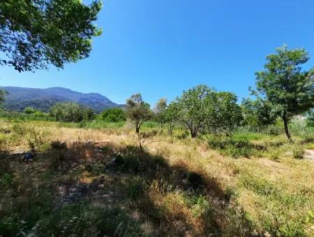 Muğla Ortaca Dalyanda Canal Front 6 500 M2 Land With Title Deed For Sale