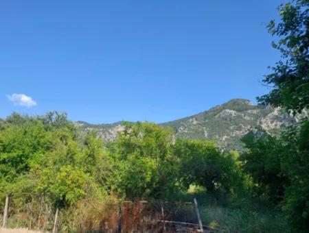 Muğla Ortaca Dalyanda 760 M2 % 15 - 30 Residential Zoned Land For Sale