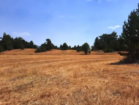 3 Parcels Of Land For Sale In Çameli Gökçeyaka